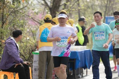 2024金东绿道·浙江马拉松团体赛