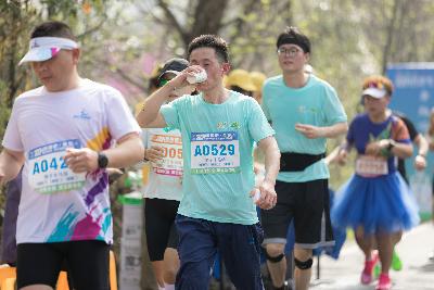 2024金东绿道·浙江马拉松团体赛