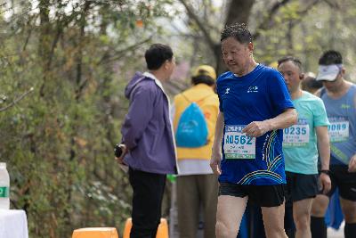2024金东绿道·浙江马拉松团体赛