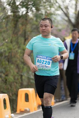 2024金东绿道·浙江马拉松团体赛