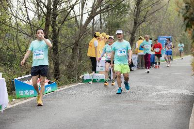 2024金东绿道·浙江马拉松团体赛
