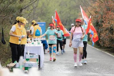 2024金东绿道·浙江马拉松团体赛