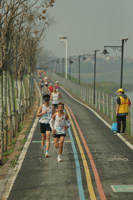 2024金东绿道·浙江马拉松团体赛