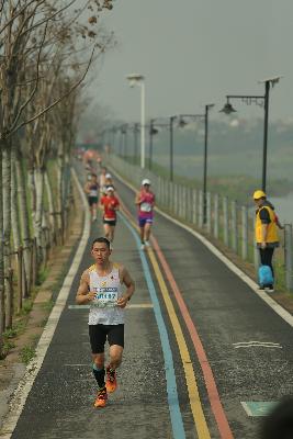 2024金东绿道·浙江马拉松团体赛