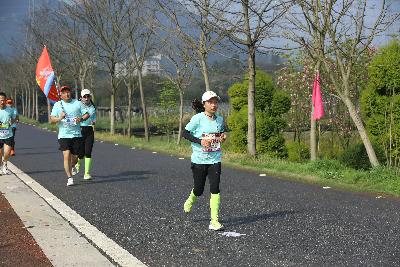 2024金东绿道·浙江马拉松团体赛