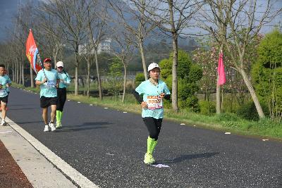 2024金东绿道·浙江马拉松团体赛
