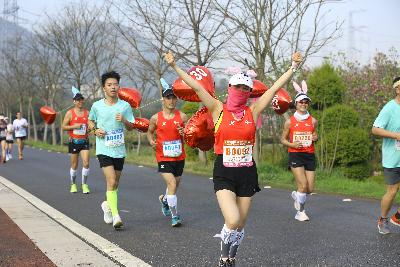 2024金东绿道·浙江马拉松团体赛