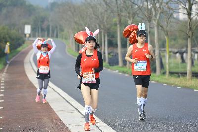 2024金东绿道·浙江马拉松团体赛
