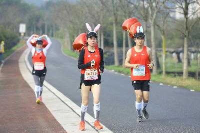 2024金东绿道·浙江马拉松团体赛