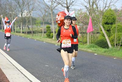 2024金东绿道·浙江马拉松团体赛