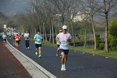2024金东绿道·浙江马拉松团体赛