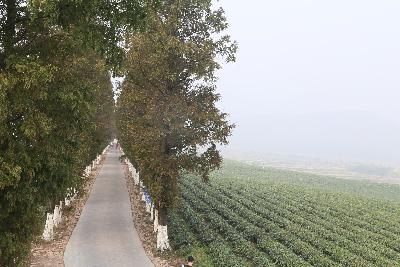 德清马拉松