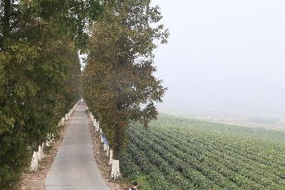 德清马拉松