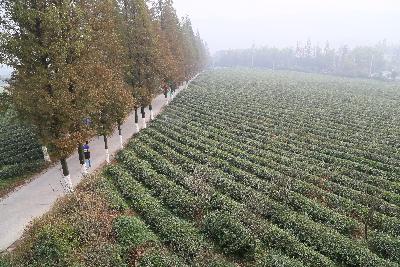 德清马拉松
