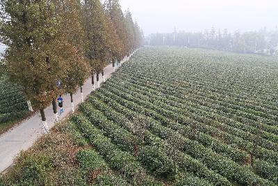 德清马拉松