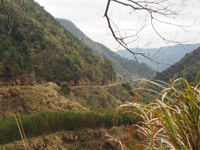 沿山的公路