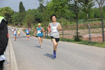 中国山水四项.2017金华金东乡村绿道马拉松