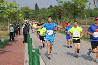 中国山水四项.2017金华金东乡村绿道马拉松