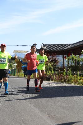 遂昌县第四届职工运动会绿跑