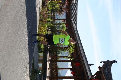 遂昌县第四届职工运动会绿跑