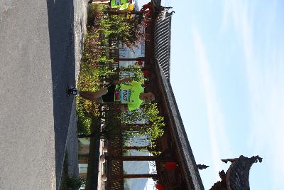 遂昌县第四届职工运动会绿跑