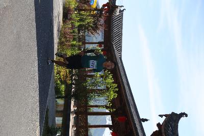 遂昌县第四届职工运动会绿跑