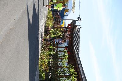遂昌县第四届职工运动会绿跑