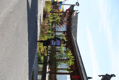 遂昌县第四届职工运动会绿跑