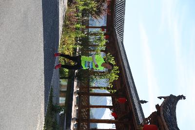遂昌县第四届职工运动会绿跑