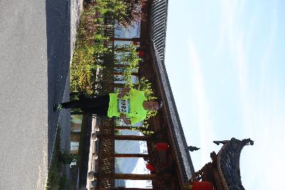 遂昌县第四届职工运动会绿跑
