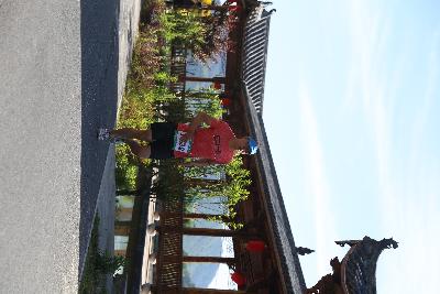 遂昌县第四届职工运动会绿跑