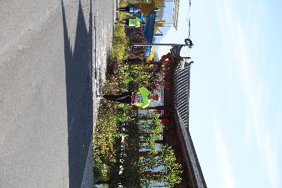 遂昌县第四届职工运动会绿跑