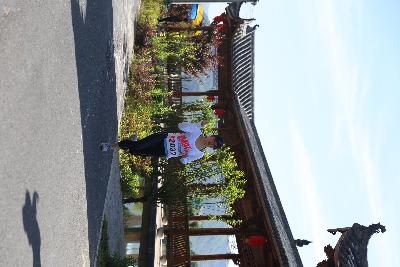 遂昌县第四届职工运动会绿跑
