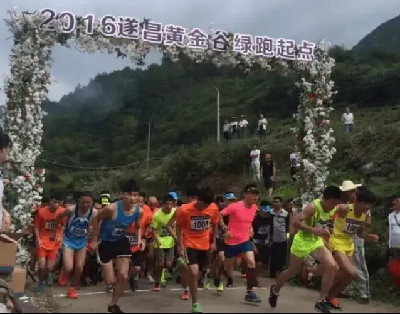 2016年遂昌黄金谷绿跑