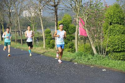 2024金东绿道·浙江马拉松团体赛